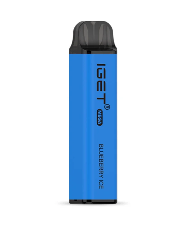 Blueberry Ice 3500 Puffs Disposable Vape